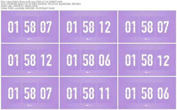 cams-ff_mur-11-19-2025-20-45-27