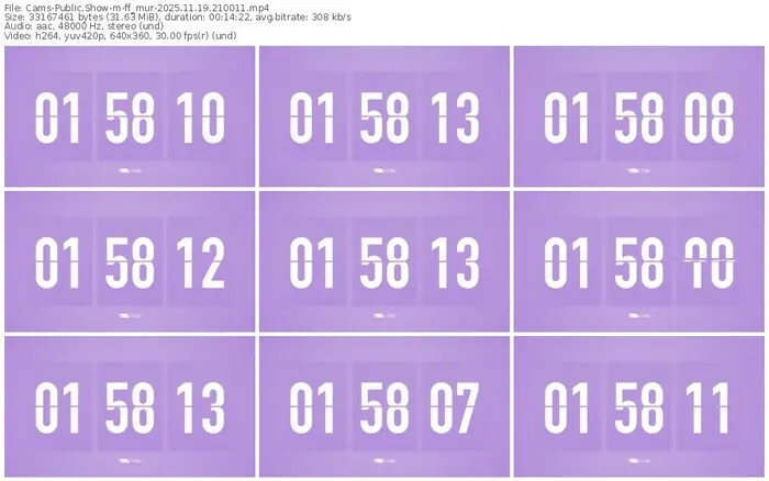 cams-ff_mur-11-19-2025-21-00-11