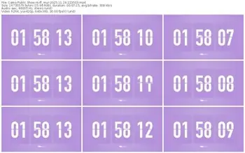 cams-ff_mur-11-19-2025-22-35-03