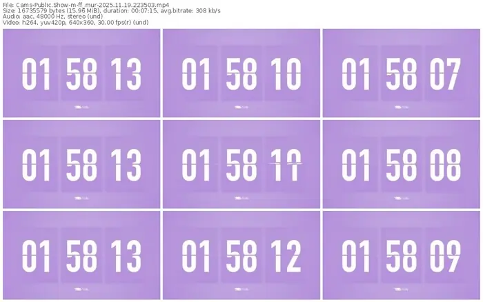 cams-ff_mur-11-19-2025-22-35-03