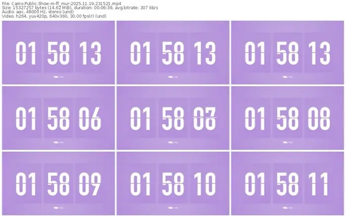 cams-ff_mur-11-19-2025-23-15-21