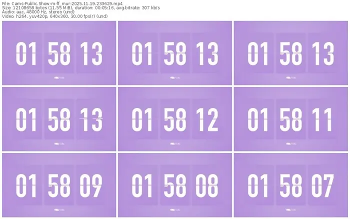 cams-ff_mur-11-19-2025-23-36-29