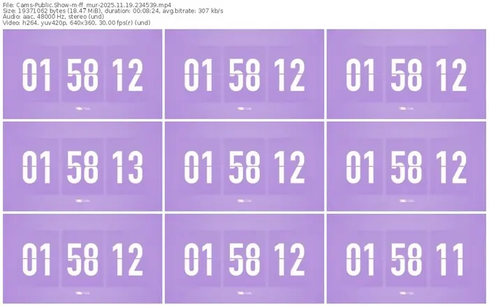 cams-ff_mur-11-19-2025-23-45-39