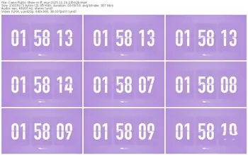 cams-ff_mur-11-19-2025-23-59-28