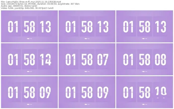 cams-ff_mur-11-19-2025-23-59-28