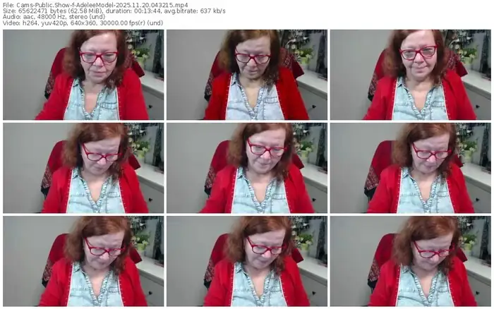 cams-adeleemodel-11-20-2025-04-32-15