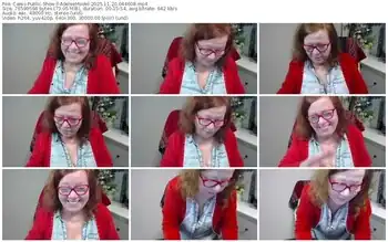 cams-adeleemodel-11-20-2025-04-46-08