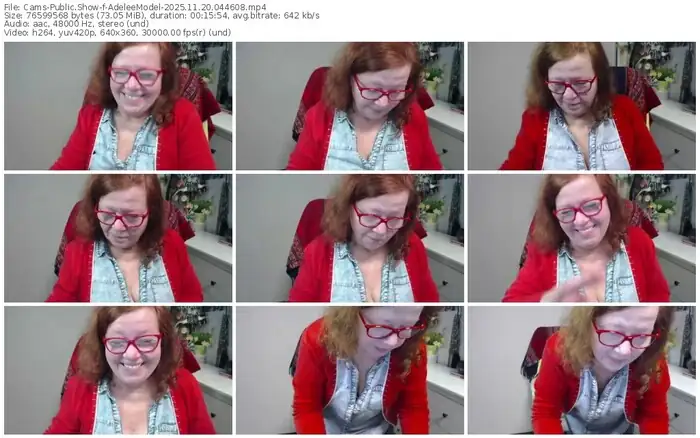 cams-adeleemodel-11-20-2025-04-46-08