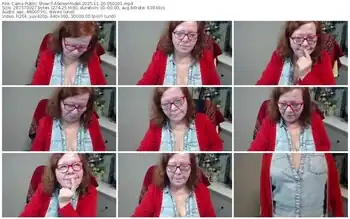 cams-adeleemodel-11-20-2025-05-02-01