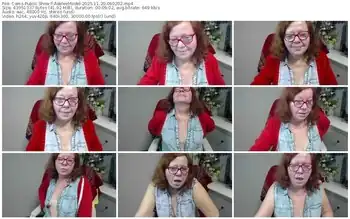 cams-adeleemodel-11-20-2025-06-02-02