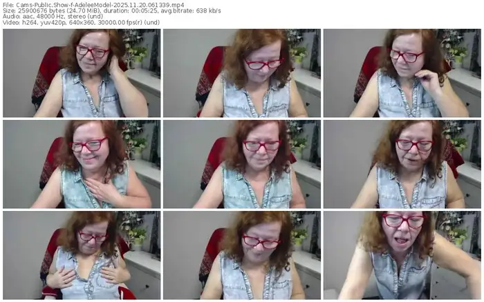 cams-adeleemodel-11-20-2025-06-13-39