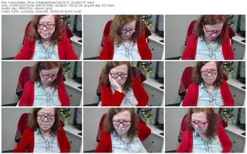 cams-adeleemodel-11-20-2025-09-07-37