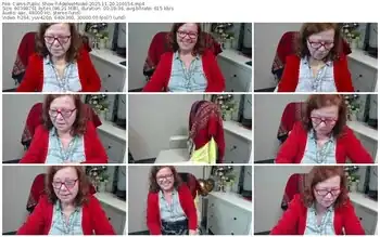 cams-adeleemodel-11-20-2025-10-01-54