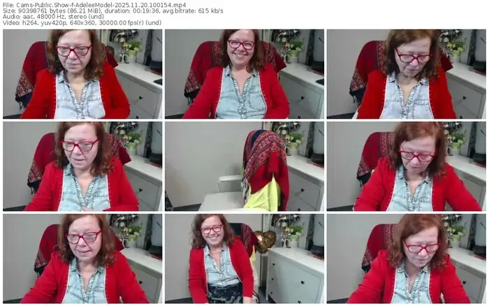 cams-adeleemodel-11-20-2025-10-01-54