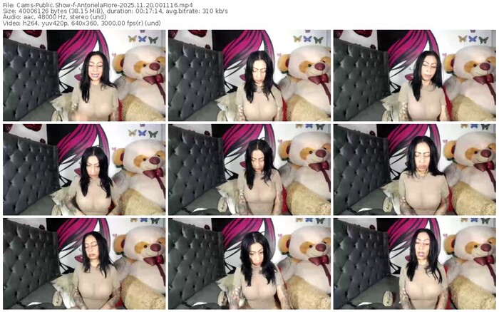 cams-antonelafiore-11-20-2025-00-11-16