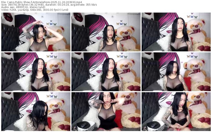 cams-antonelafiore-11-20-2025-20-39-30