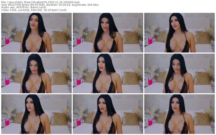 cams-evakent25-11-20-2025-23-09-18