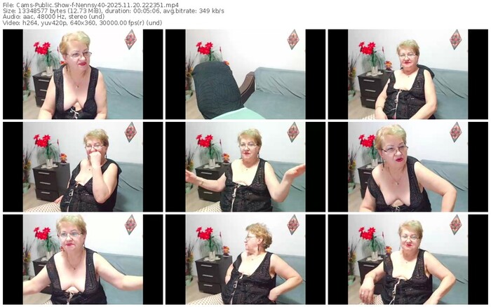 cams-nennsy40-11-20-2025-22-23-51