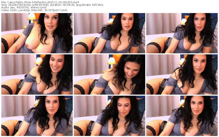 cams-perfectits-11-20-2025-09-19-15