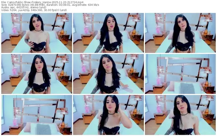 cams-valery_hanze-11-20-2025-21-27-24