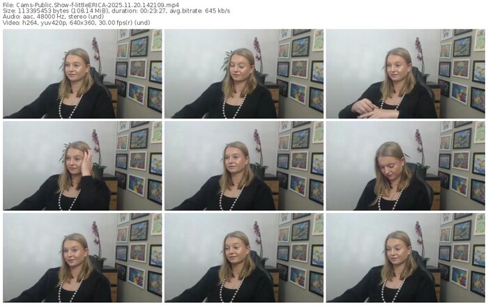 cams-littleerica-11-20-2025-14-21-09