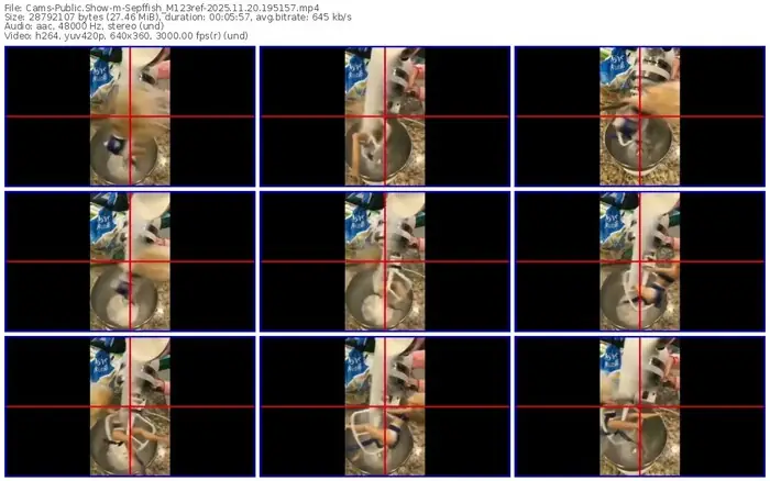 cams-sepffish_m123ref-11-20-2025-19-51-57