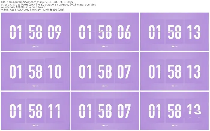 cams-ff_mur-11-20-2025-00-10-16