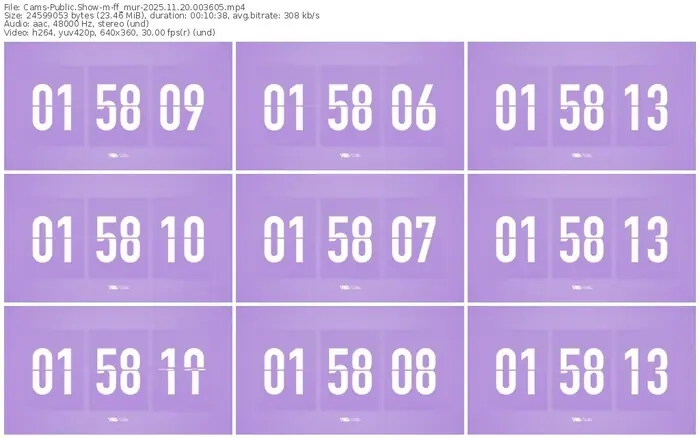 cams-ff_mur-11-20-2025-00-36-05