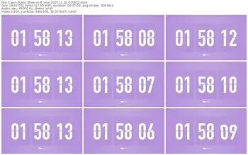 cams-ff_mur-11-20-2025-00-56-32