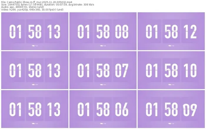 cams-ff_mur-11-20-2025-00-56-32
