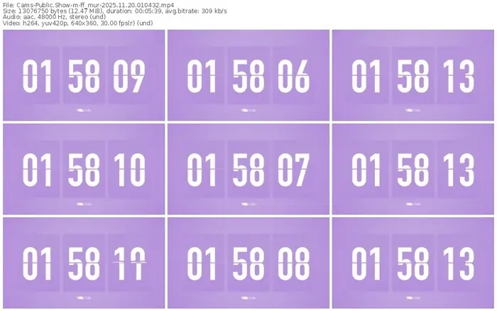 cams-ff_mur-11-20-2025-01-04-32