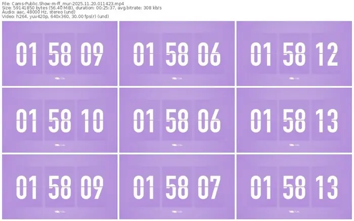 cams-ff_mur-11-20-2025-01-14-23