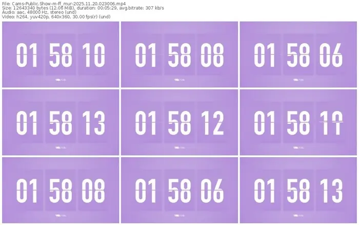 cams-ff_mur-11-20-2025-02-30-06