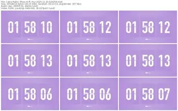 cams-ff_mur-11-20-2025-02-40-54