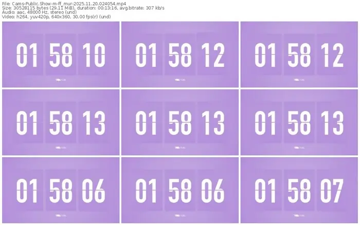 cams-ff_mur-11-20-2025-02-40-54
