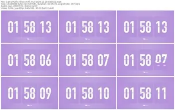 cams-ff_mur-11-20-2025-02-54-12