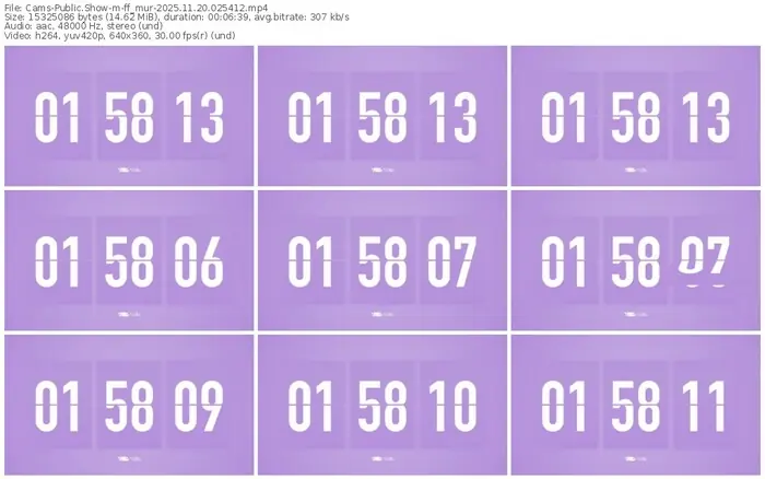 cams-ff_mur-11-20-2025-02-54-12