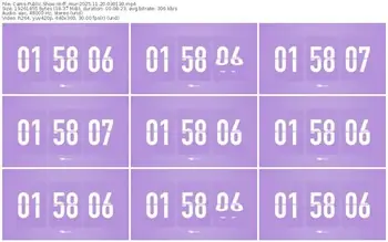 cams-ff_mur-11-20-2025-03-01-30