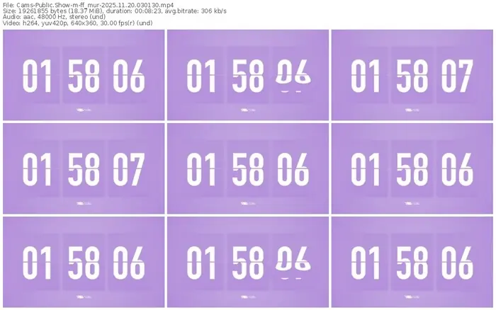 cams-ff_mur-11-20-2025-03-01-30