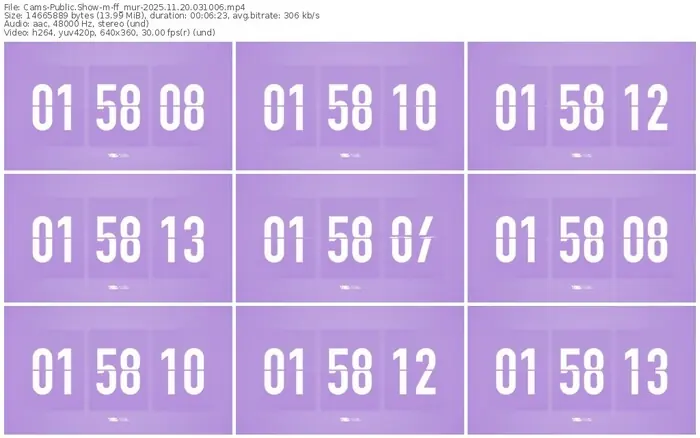 cams-ff_mur-11-20-2025-03-10-06