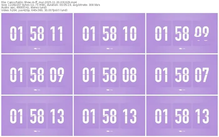 cams-ff_mur-11-20-2025-03-16-29