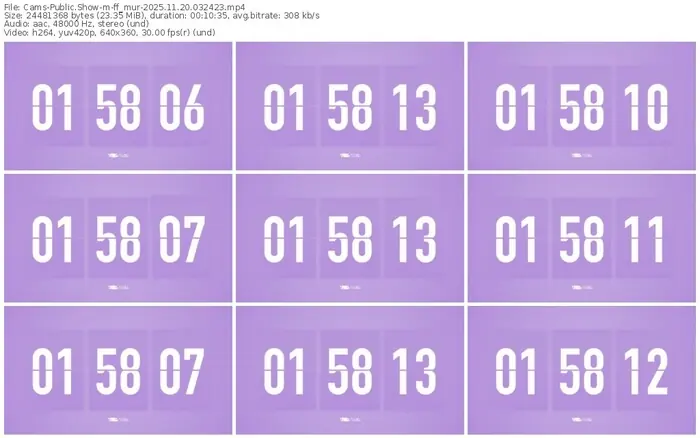 cams-ff_mur-11-20-2025-03-24-23