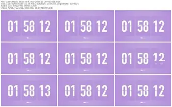 cams-ff_mur-11-20-2025-03-34-58