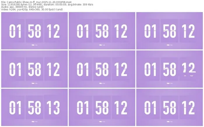 cams-ff_mur-11-20-2025-03-34-58