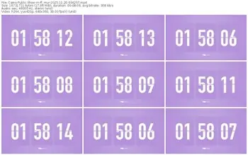 cams-ff_mur-11-20-2025-03-42-57