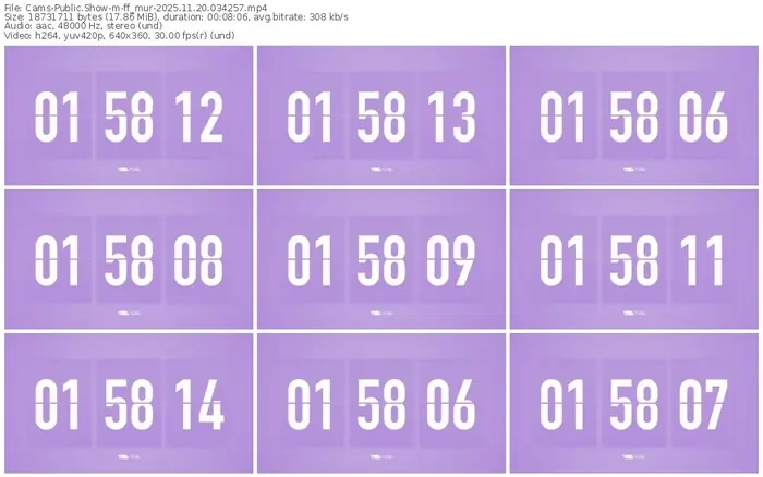 cams-ff_mur-11-20-2025-03-42-57