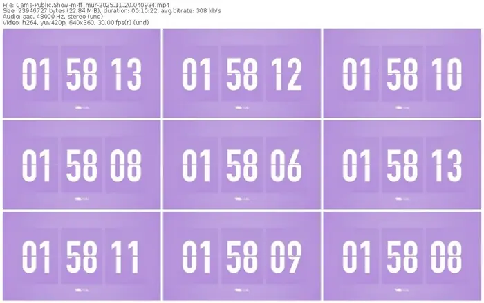 cams-ff_mur-11-20-2025-04-09-34