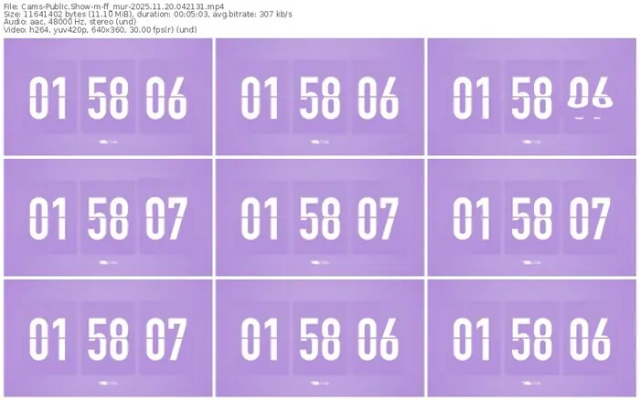 cams-ff_mur-11-20-2025-04-21-31