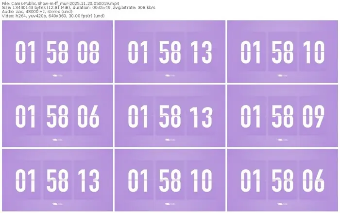 cams-ff_mur-11-20-2025-05-00-19