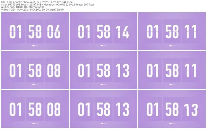 cams-ff_mur-11-20-2025-05-16-41